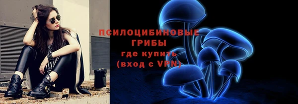 шишки Армянск