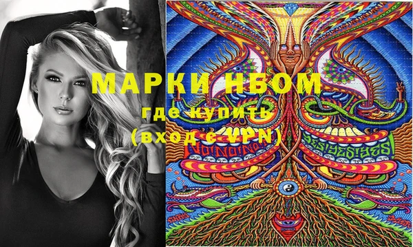 шишки Армянск