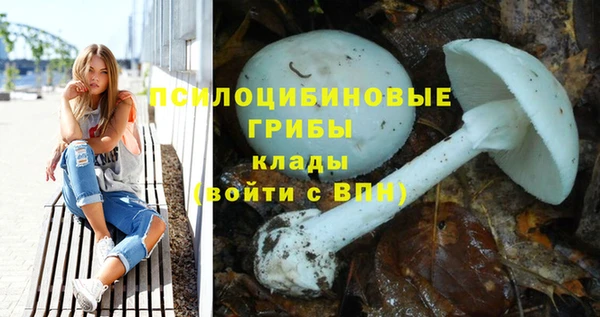 шишки Армянск