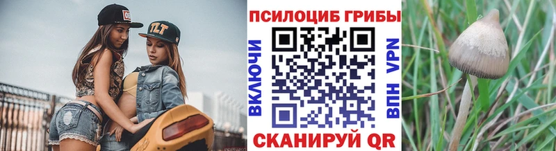 Псилоцибиновые грибы GOLDEN TEACHER Междуреченск