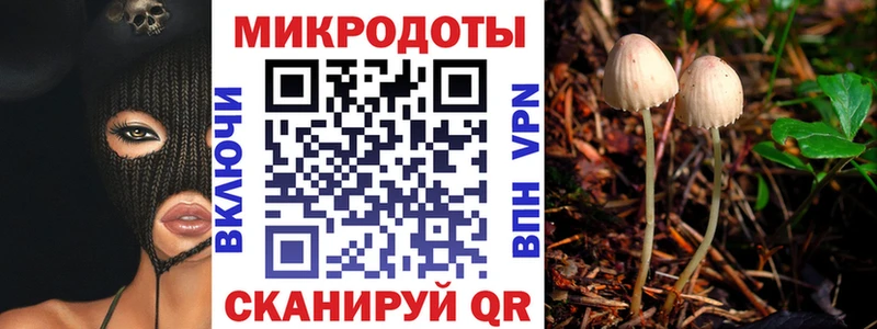 Псилоцибиновые грибы GOLDEN TEACHER  дарк нет как зайти  Междуреченск 