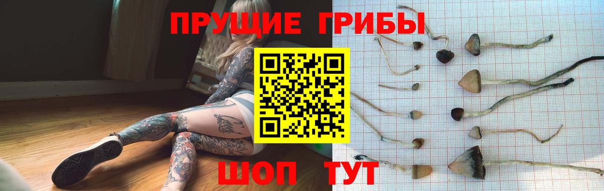 Галлюциногенные грибы Magic Shrooms  Галлюциногенные грибы MAGIC MUSHROOMS  Междуреченск  Вход с VPN 